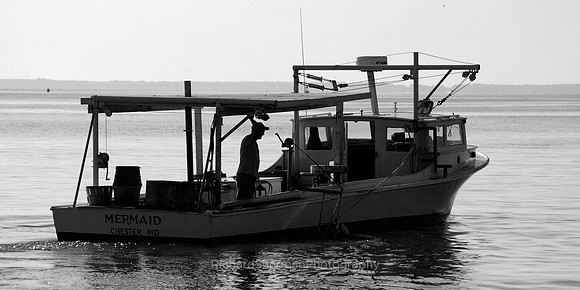 Early Morning Crab Boat BW, Panorama
