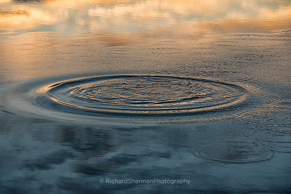 Sunset Rings