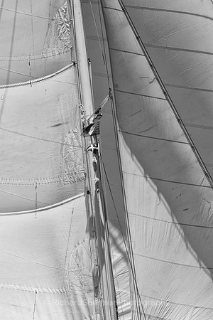 Antigua Sails_6 BW