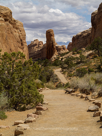 Down the Path