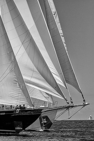 Neck and Neck BW
