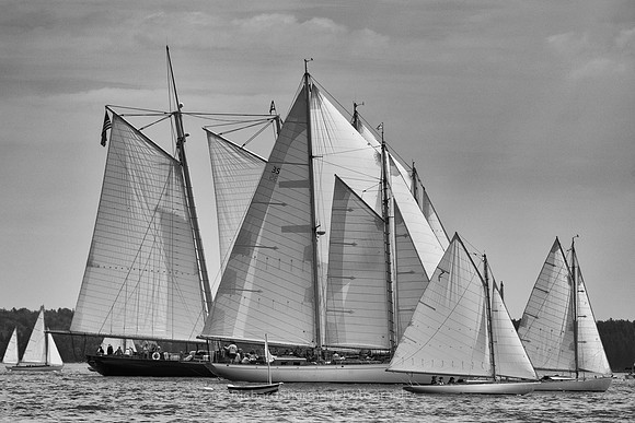 Awaiting the Start BW