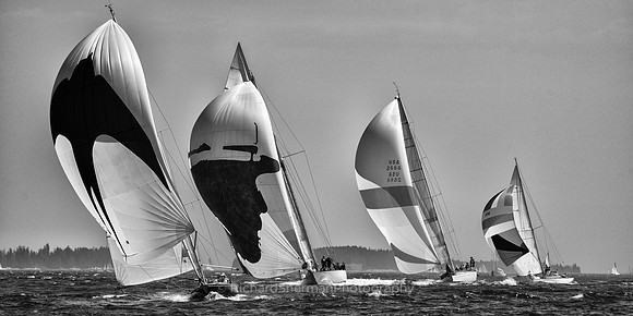 Spinnaker Chase BW, Panorama