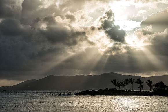 Island Rays