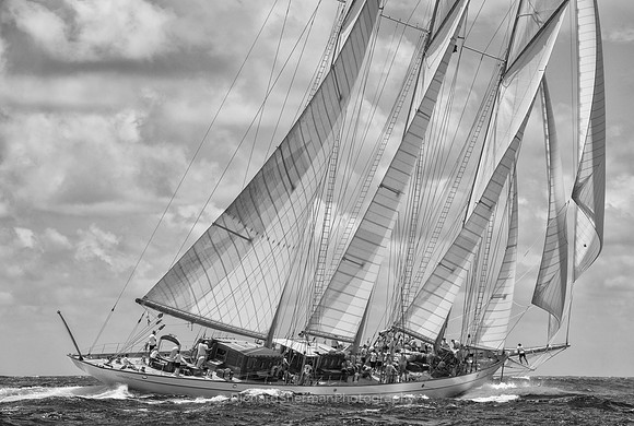 Flying All the Sails, BW