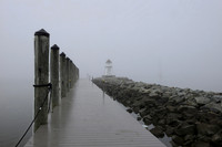 Wet Morning