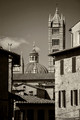 Florence Skyline BW