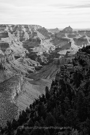 Into the Grand Canyon
