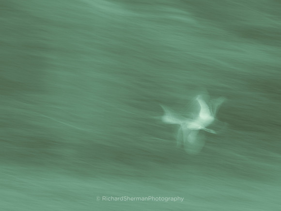 Green Flight