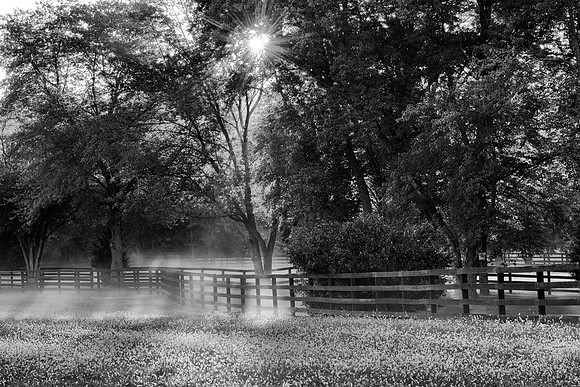 Foggy Morning on the Farm BW