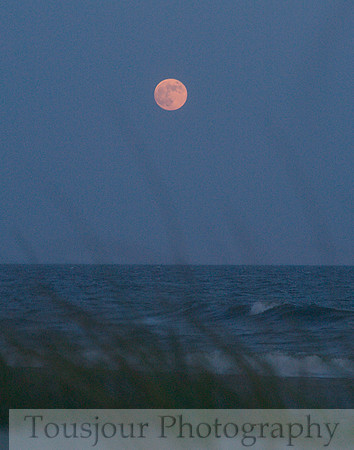 Moonrise over Carolina