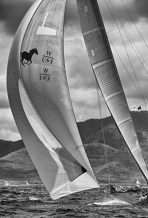 Spinnaker 1 BW