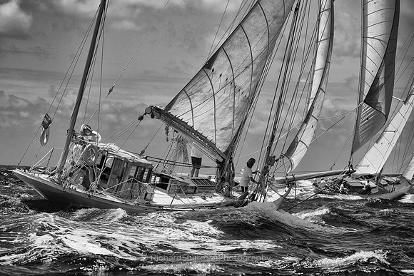 Checking Sails BW