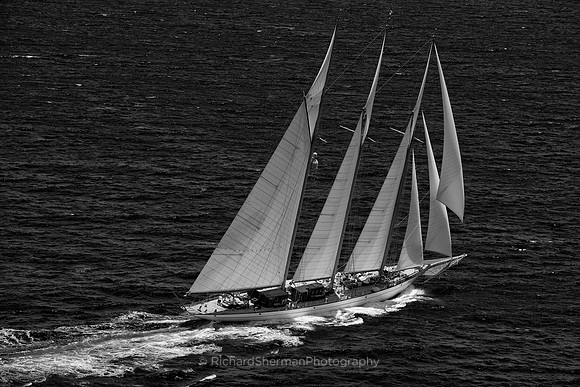 Piercing a Black Sea BW