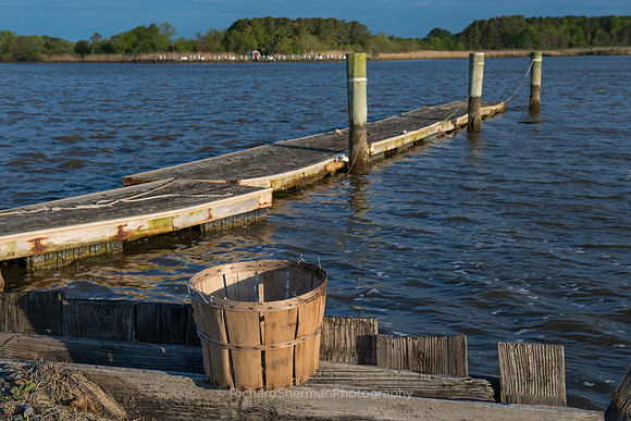 Maryland Crab Basket