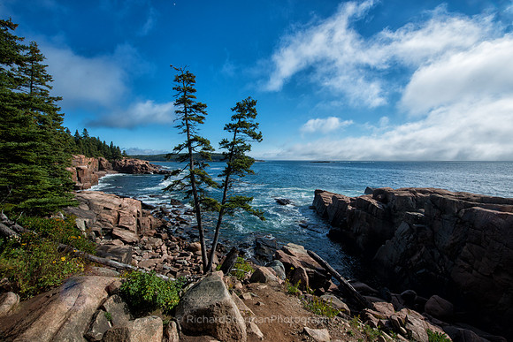Acadia V