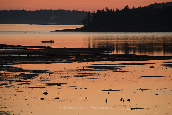 Dawn Ebb
