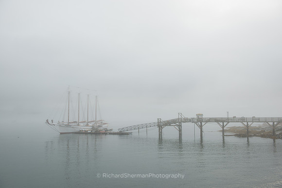 Morning Fog