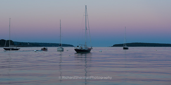 Pink Skies at Dusk