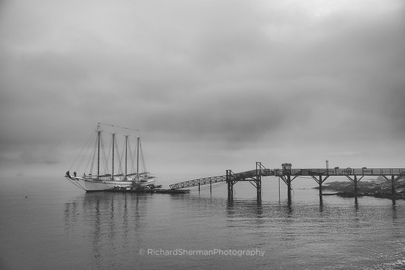 Morning Fog BW
