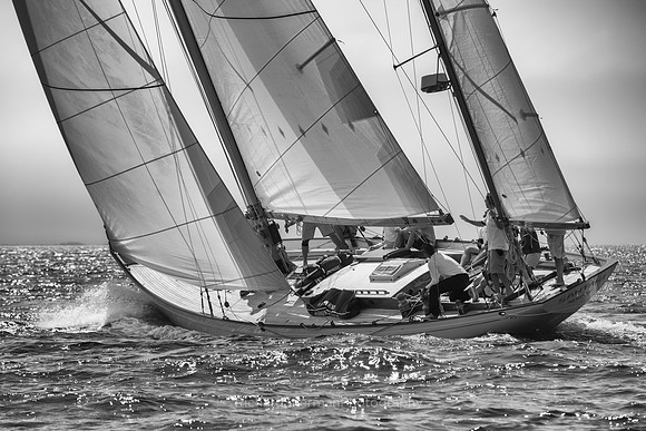 Into the White BW