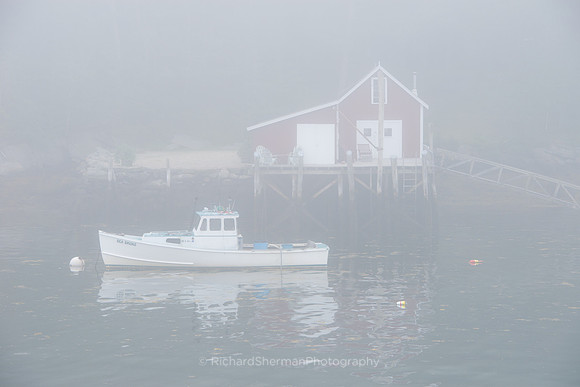 Soft Maine Morning