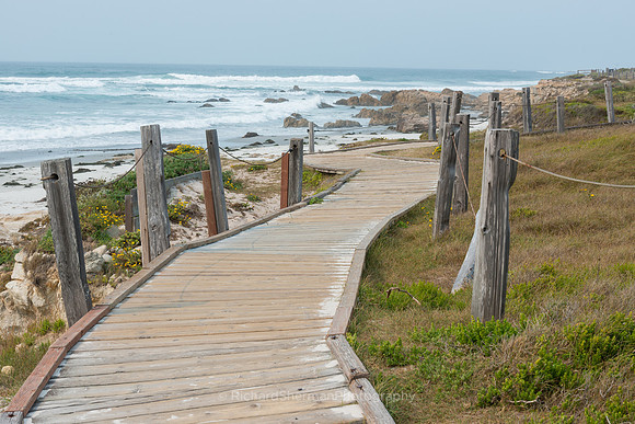 Path to the Sea