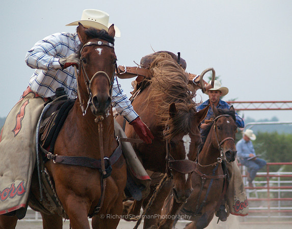 Rodeo