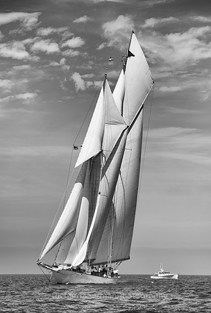 All Sails Flying BW