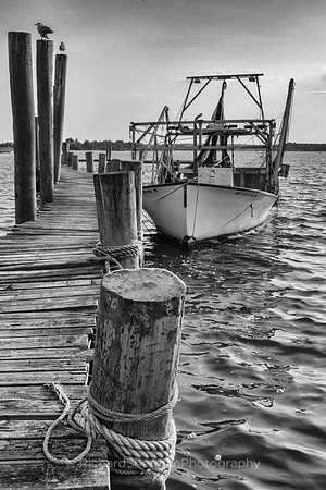 Carolina Shrimper_BW