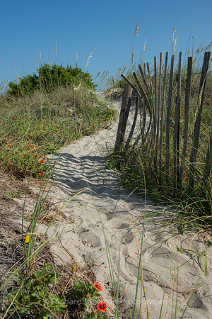 Beach Access