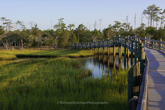 Carolina Marsh 5