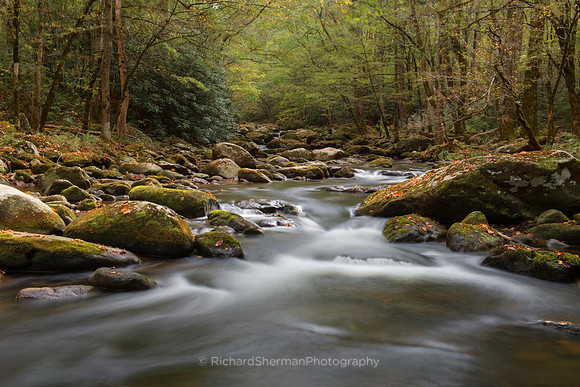 Autumn Stream 1