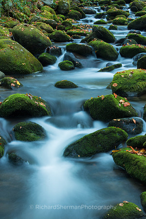 Autumn Stream 3