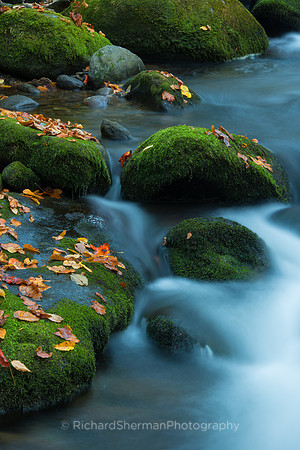 Autumn Stream 4