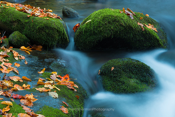 Autumn Stream 5