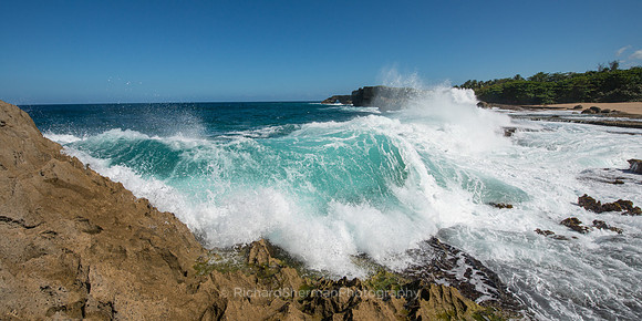Chasing, Panorama