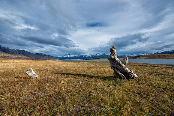 Late Autumn, Patagonia