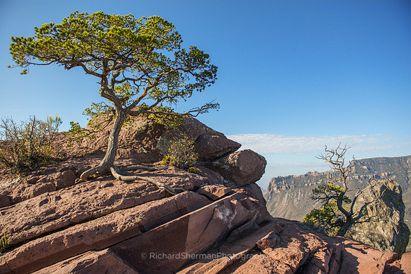 Clinging to the Mountain