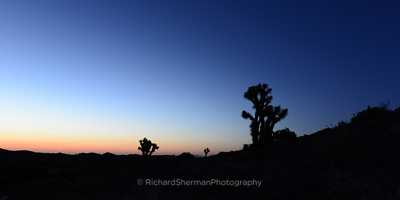 Morning Breaks in the Desert