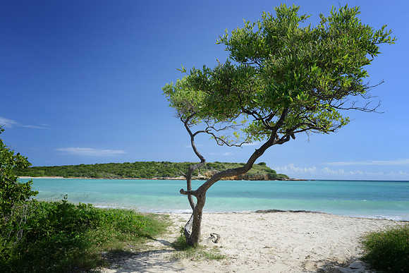 Cabo Rojo