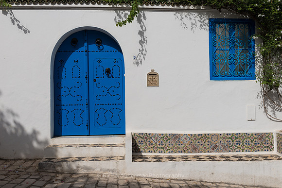 Blue Doors
