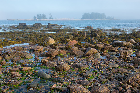 Boulder Beach 2