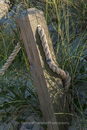 End of Beach Trail