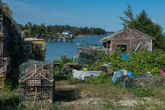 Litter of Lobster Traps