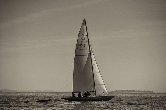 Graceful, BW