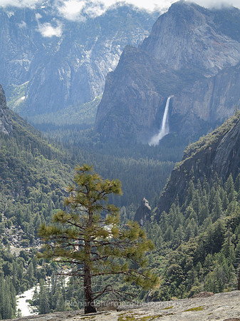 Into The Valley, Yosemite