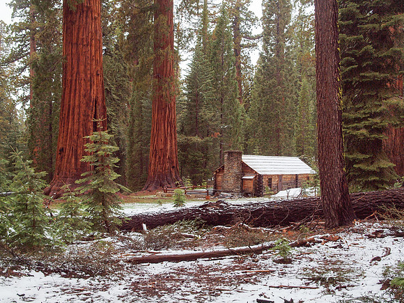 Cabin in Mariposa Grove