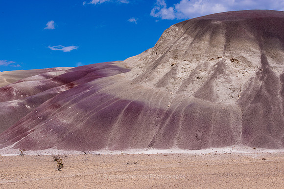 Red Desert