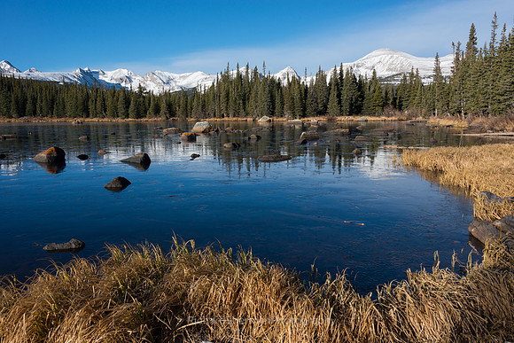 Colorado Ice Pond 1